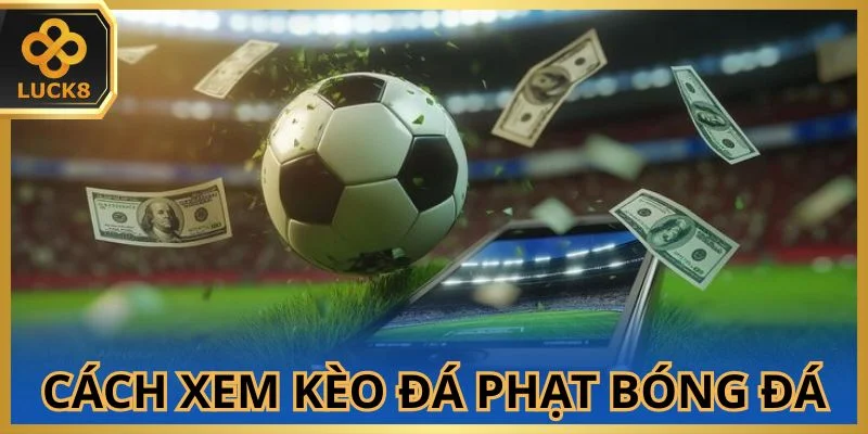 bat-mi-nguyen-tac-xem-keo-da-phat-bong-da-chac-thang-100